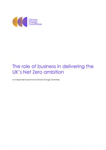 Role of business in UK Net Zero transition